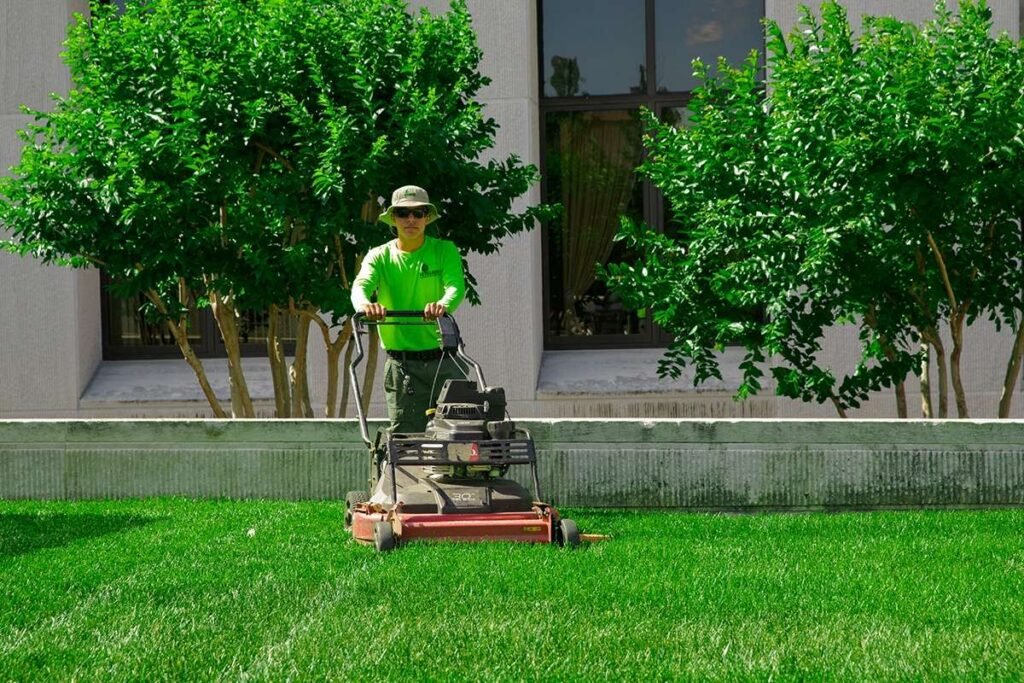 lawn care
