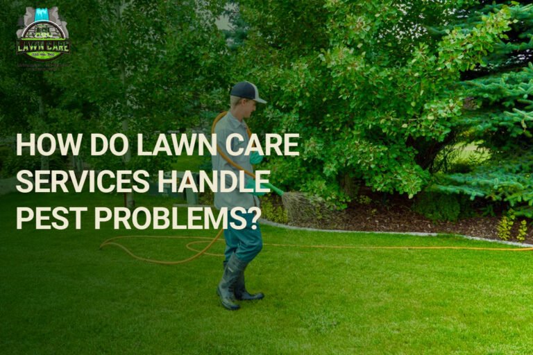 lawn care
