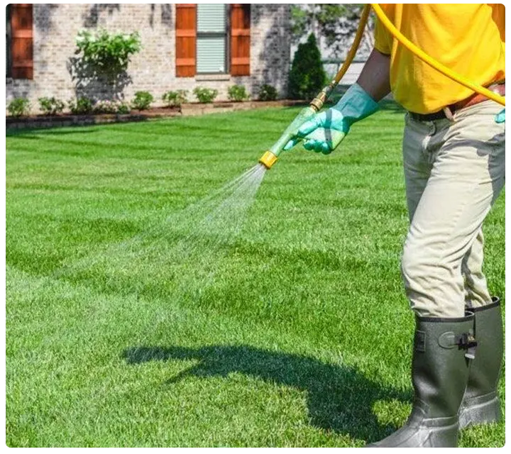 lawn care